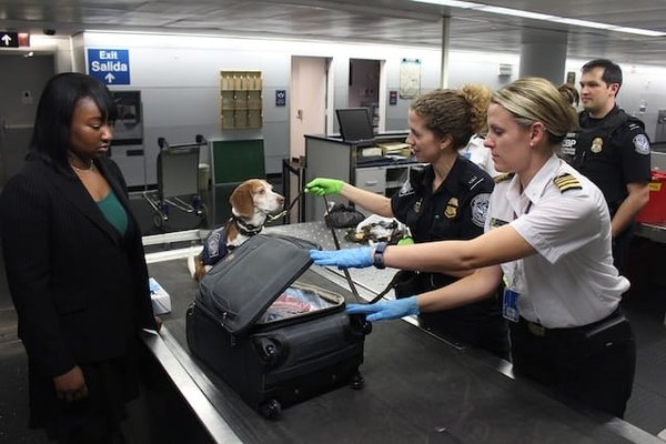 Quelle est la taille et le poids maximum autorisés pour une valise en avion ?