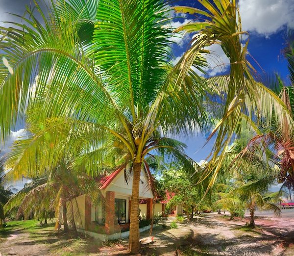 Comment profiter des offres promotionnelles sur les gîtes en Guadeloupe ?
