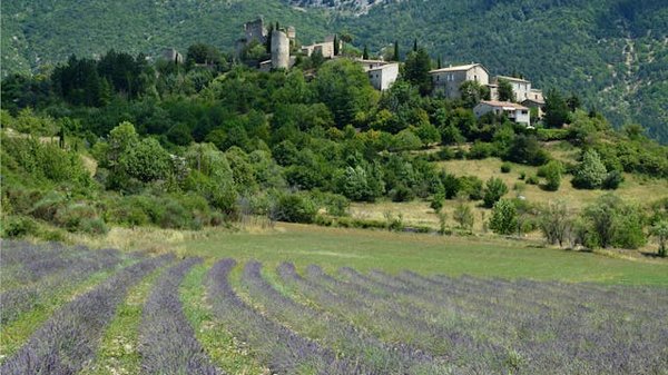 Escapade dans les campings près de Carpentras