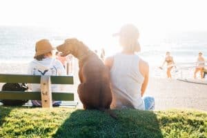 vacances avec son chien